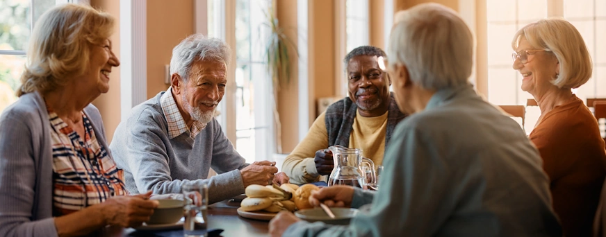 Life Assure Seniors Enjoying Company Hero